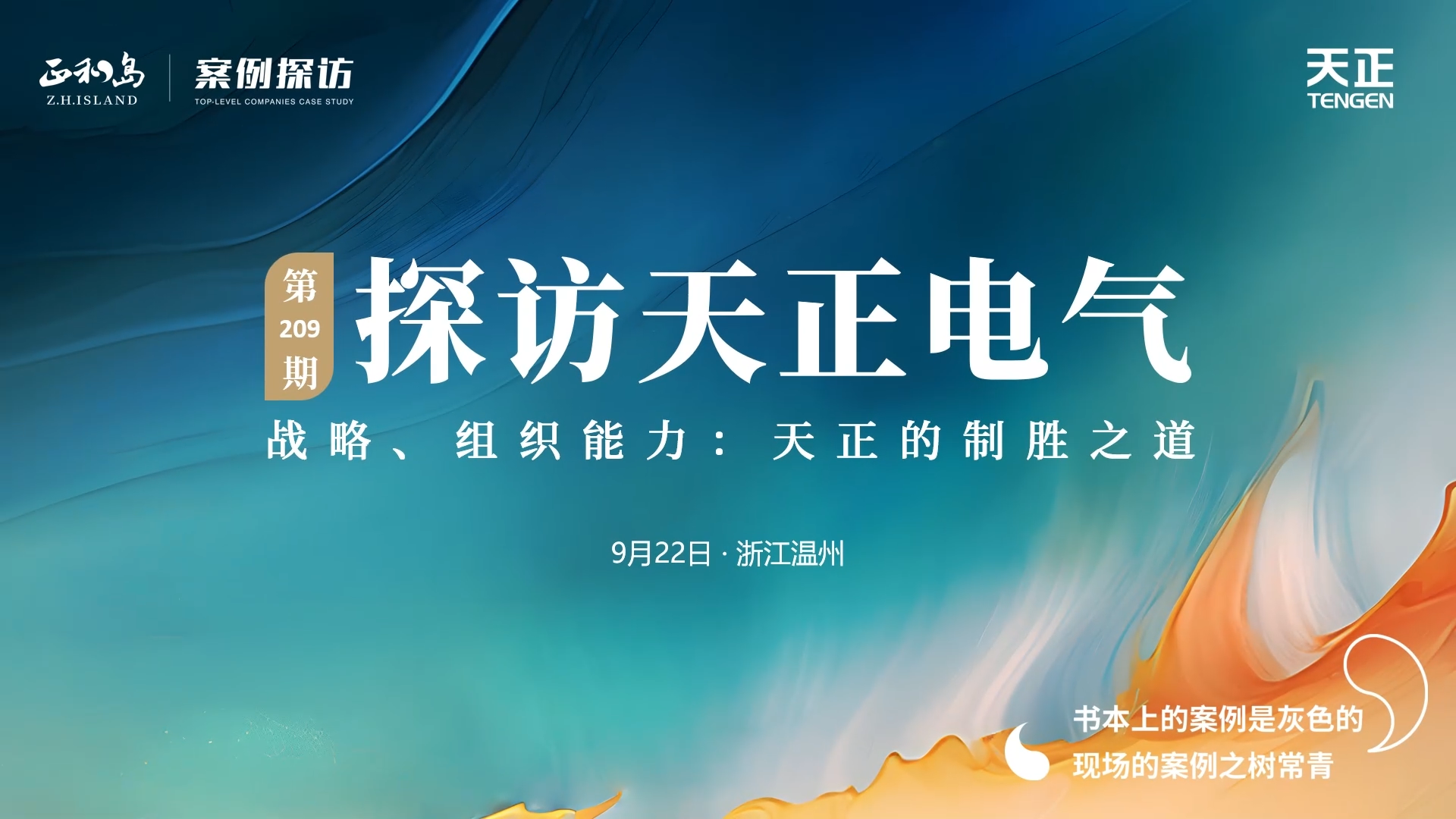 正和岛走进17com黑料爆料视频在线看免费版，探访制胜之道